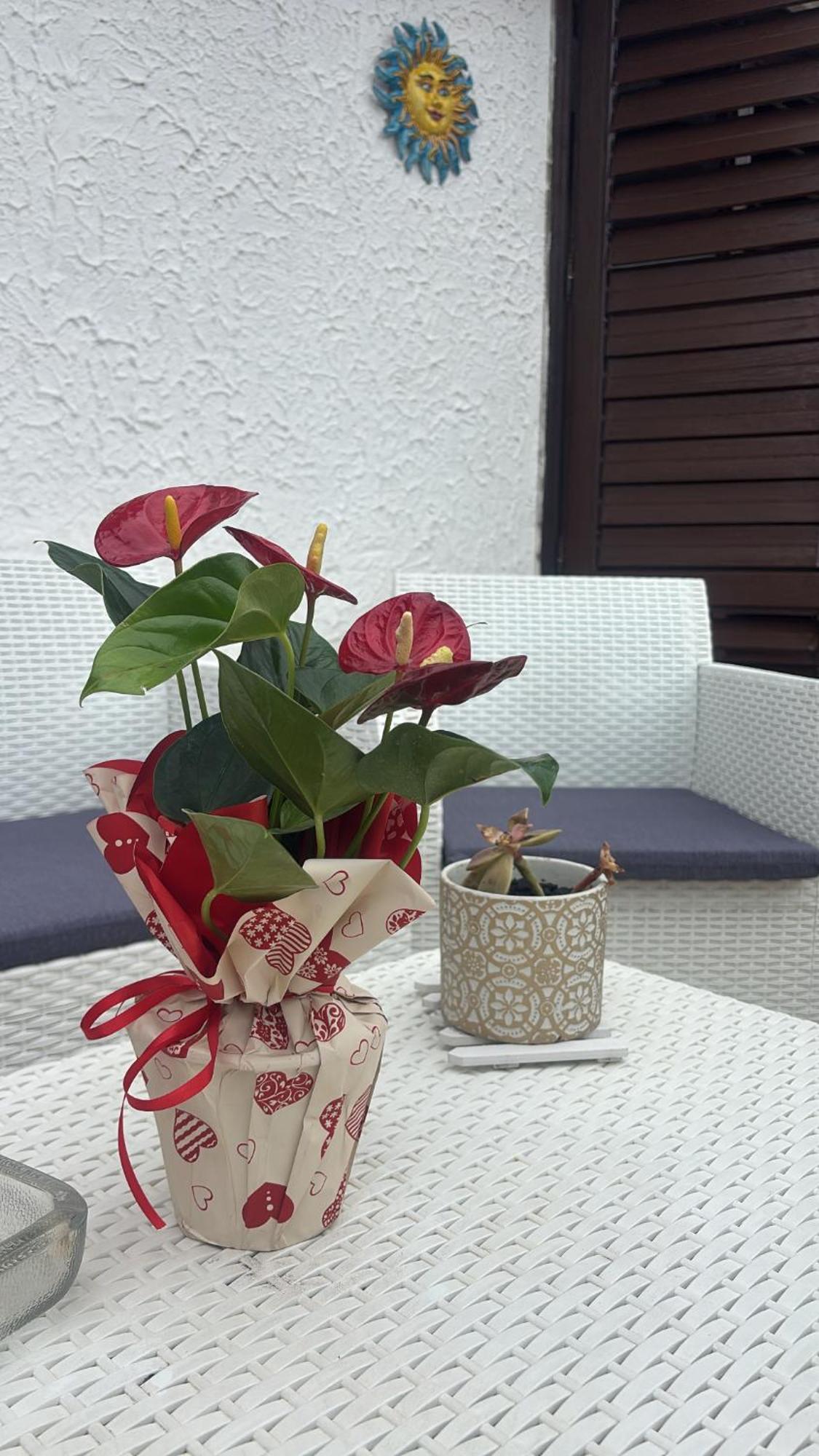 Appartamento Giardini Naxos Butterflies Home Скизо Экстерьер фото